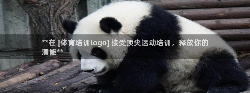 富联娱乐测速：**在 [体育培训logo] 接受顶尖